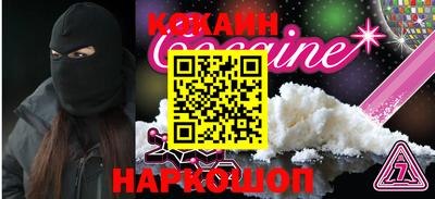 стафф Кингисепп