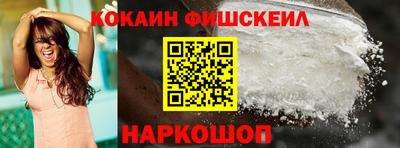 стафф Кингисепп