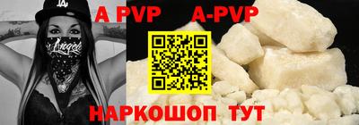 стафф Кингисепп