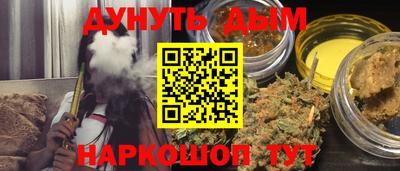стафф Кингисепп