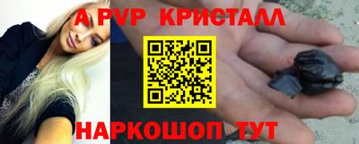 стафф Кингисепп