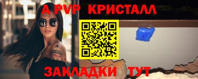 стафф Кингисепп