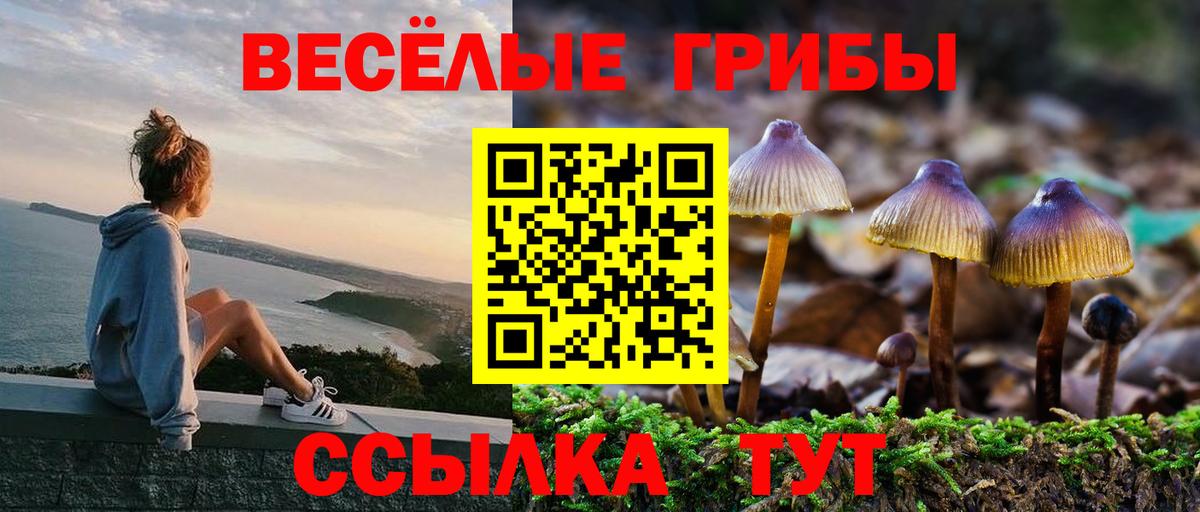 Псилоцибиновые грибы Cubensis Краснознаменск