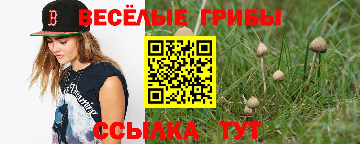 Псилоцибиновые грибы Psilocybine cubensis  Вход с VPN  Краснознаменск 